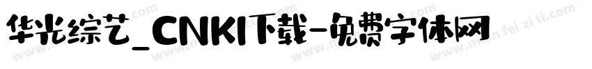 华光综艺_CNKI下载字体转换