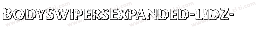 BodySwipersExpanded-l1dZ字体转换