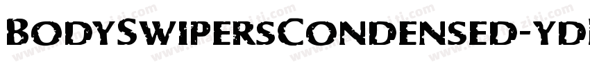BodySwipersCondensed-ydL2字体转换