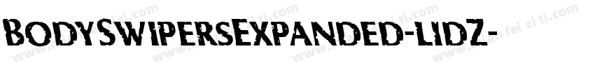 BodySwipersExpanded-l1dZ字体转换
