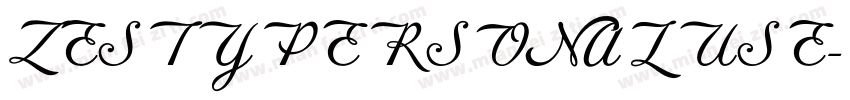 ZESTYPERSONALUSE字体转换
