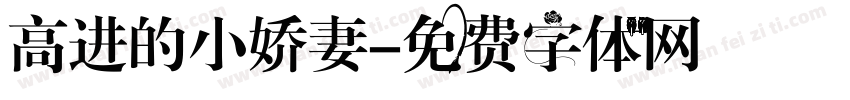 高进的小娇妻字体转换