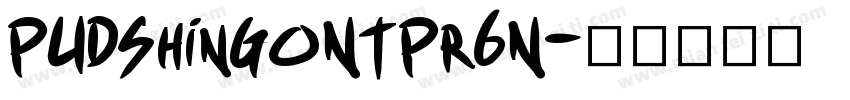 PUDShinGoNTPr6N字体转换