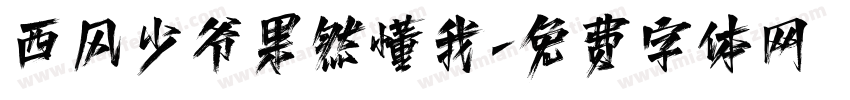西风少爷果然懂我字体转换