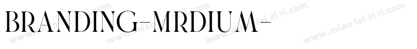 branding-Mrdium字体转换