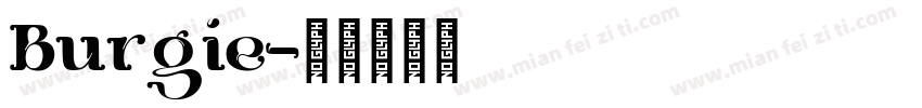 Burgie字体转换