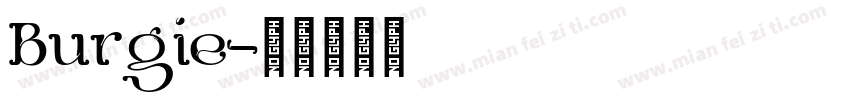 Burgie字体转换