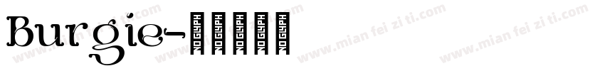 Burgie字体转换