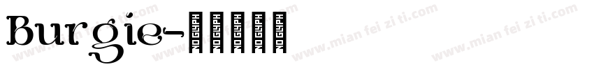 Burgie字体转换