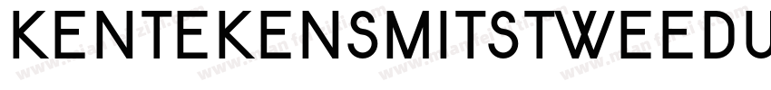 KentekenSmitsTweedui字体转换