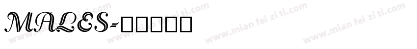 MALES字体转换