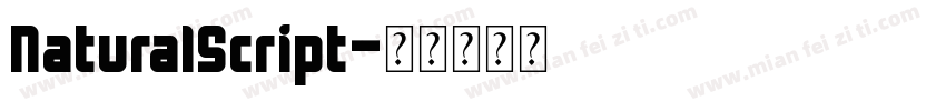 NaturalScript字体转换