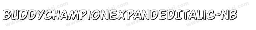 BuddyChampionExpandedItalic-nBPg字体转换