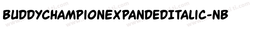 BuddyChampionExpandedItalic-nBPg字体转换