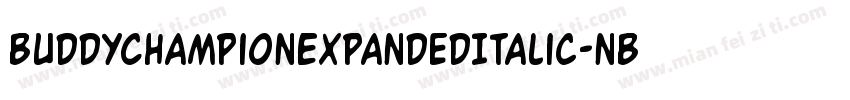 BuddyChampionExpandedItalic-nBPg字体转换