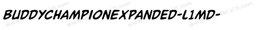 BuddyChampionExpanded-l1md字体转换