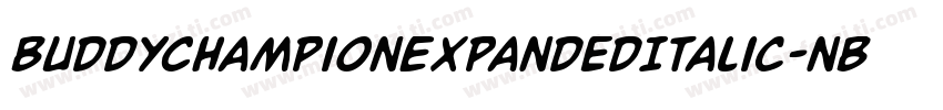 BuddyChampionExpandedItalic-nBPg字体转换