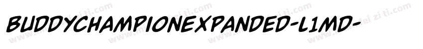 BuddyChampionExpanded-l1md字体转换