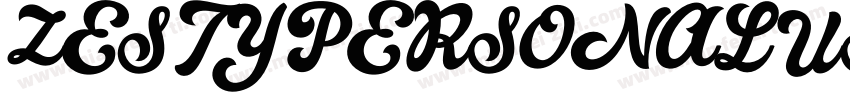 ZESTYPERSONALUSE字体转换