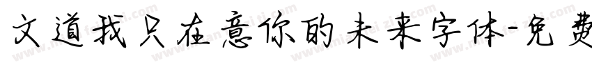 文道我只在意你的未来字体字体转换