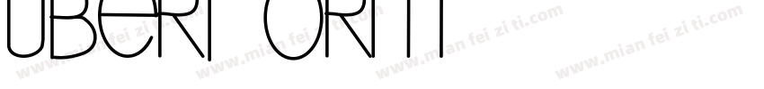 Uberform字体转换