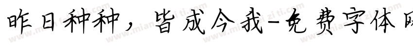 昨日种种，皆成今我字体转换