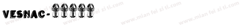 VesnaC字体转换