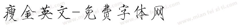 瘦金英文字体转换