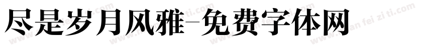 尽是岁月风雅字体转换
