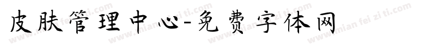 皮肤管理中心字体转换