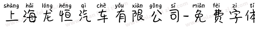 上海龙恒汽车有限公司字体转换
