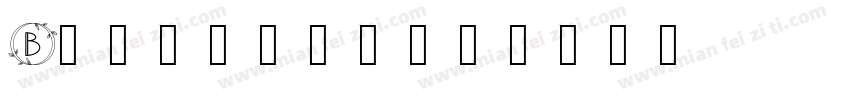 Brunswyk字体转换