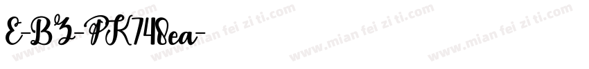 E-BZ-PK748ea字体转换