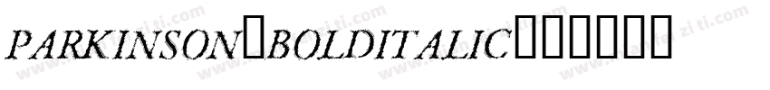 Parkinson-BoldItalic字体转换