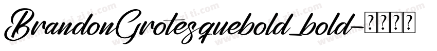 BrandonGrotesquebold_bold字体转换