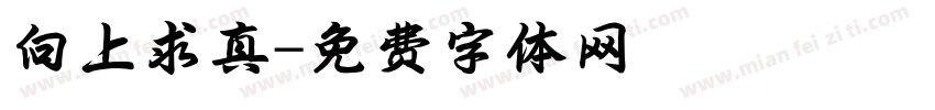 向上求真字体转换