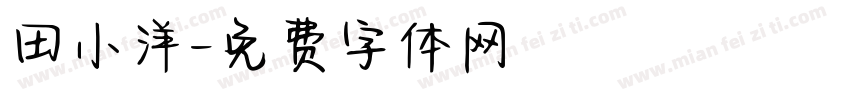 田小洋字体转换