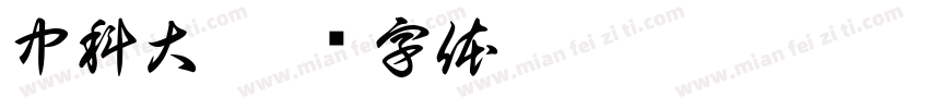 中科大字体转换