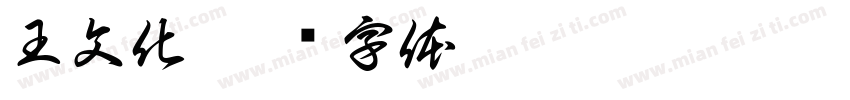 王文化字体转换