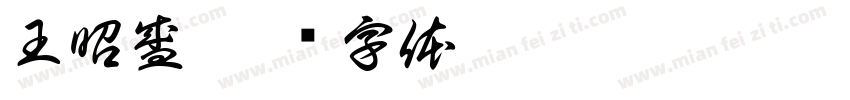 王昭盛字体转换