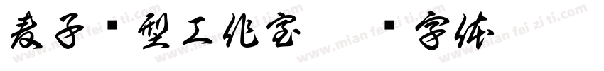 麦子发型工作室字体转换