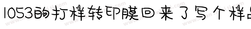 1053的打样转印膜回来了写个样品单字体转换