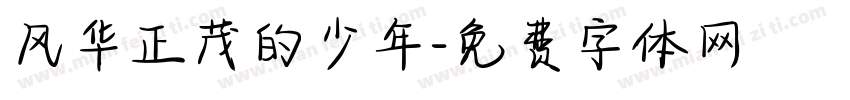 风华正茂的少年字体转换
