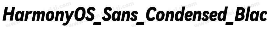 HarmonyOS_Sans_Condensed_Black_Ital字体转换