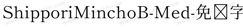 ShipporiMinchoB-Med字体转换