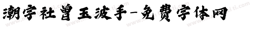 潮字社曾玉波手字体转换