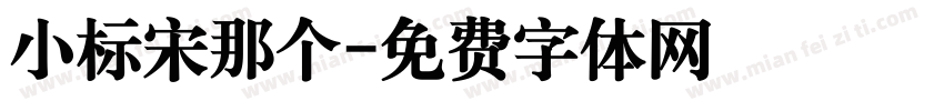 小标宋那个字体转换