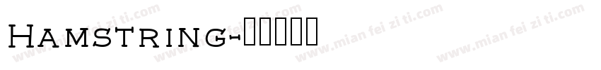 Hamstring字体转换