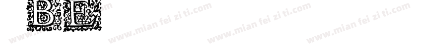晋BE5678字体转换