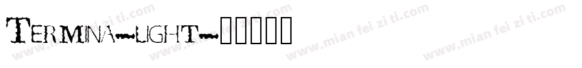 Termina-light字体转换